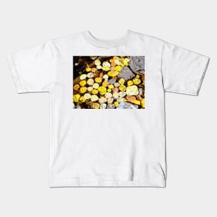 Aspen Leaves and Fall Colors in Colorado Kids T-Shirt